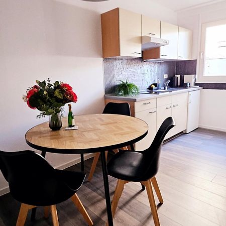 Terrassen-Apartment Am Grossen Garten Дрезден Экстерьер фото